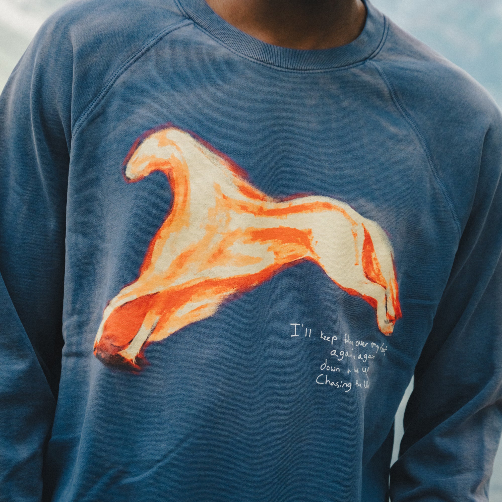 Chasing The Wind Raglan