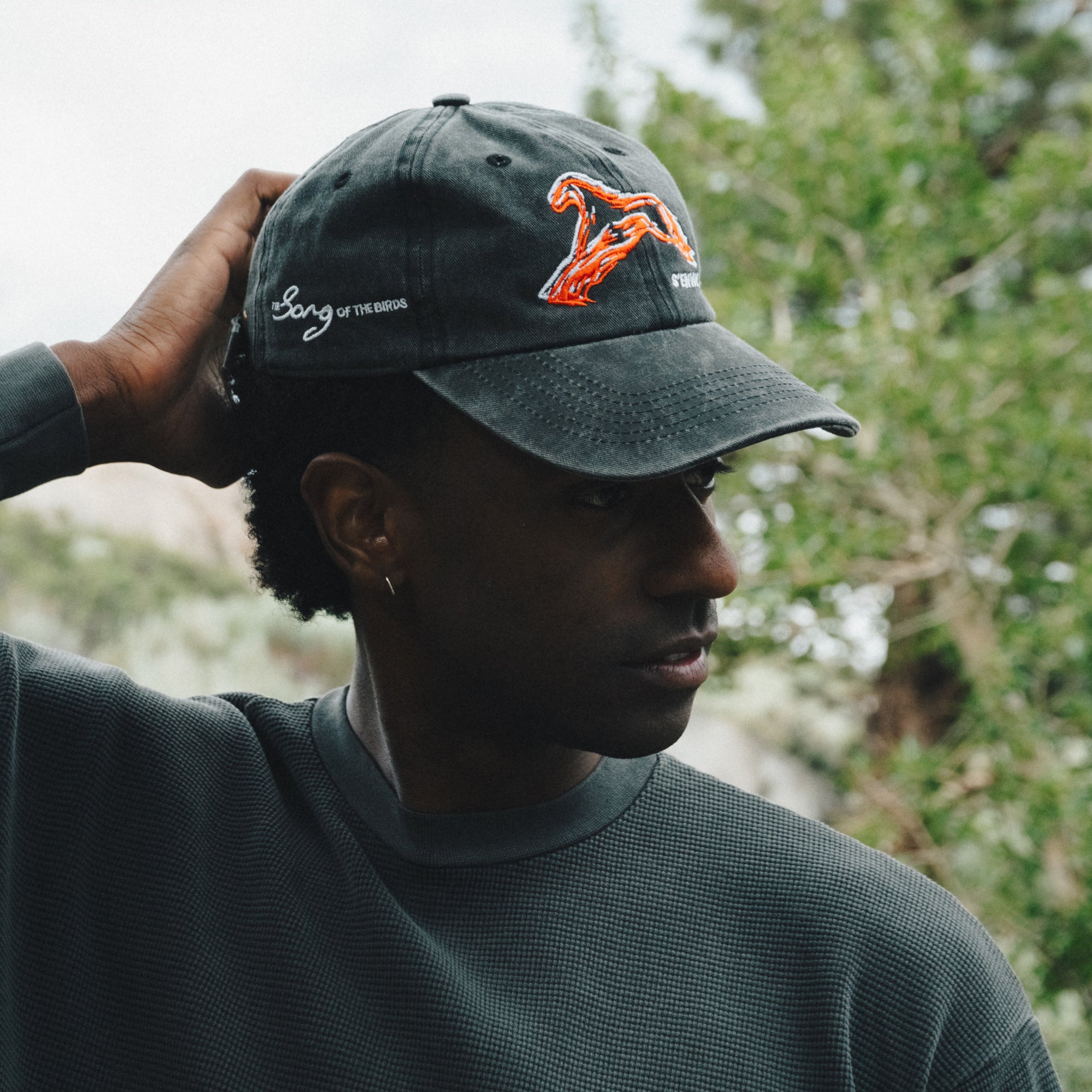 Song Of The Birds Hat