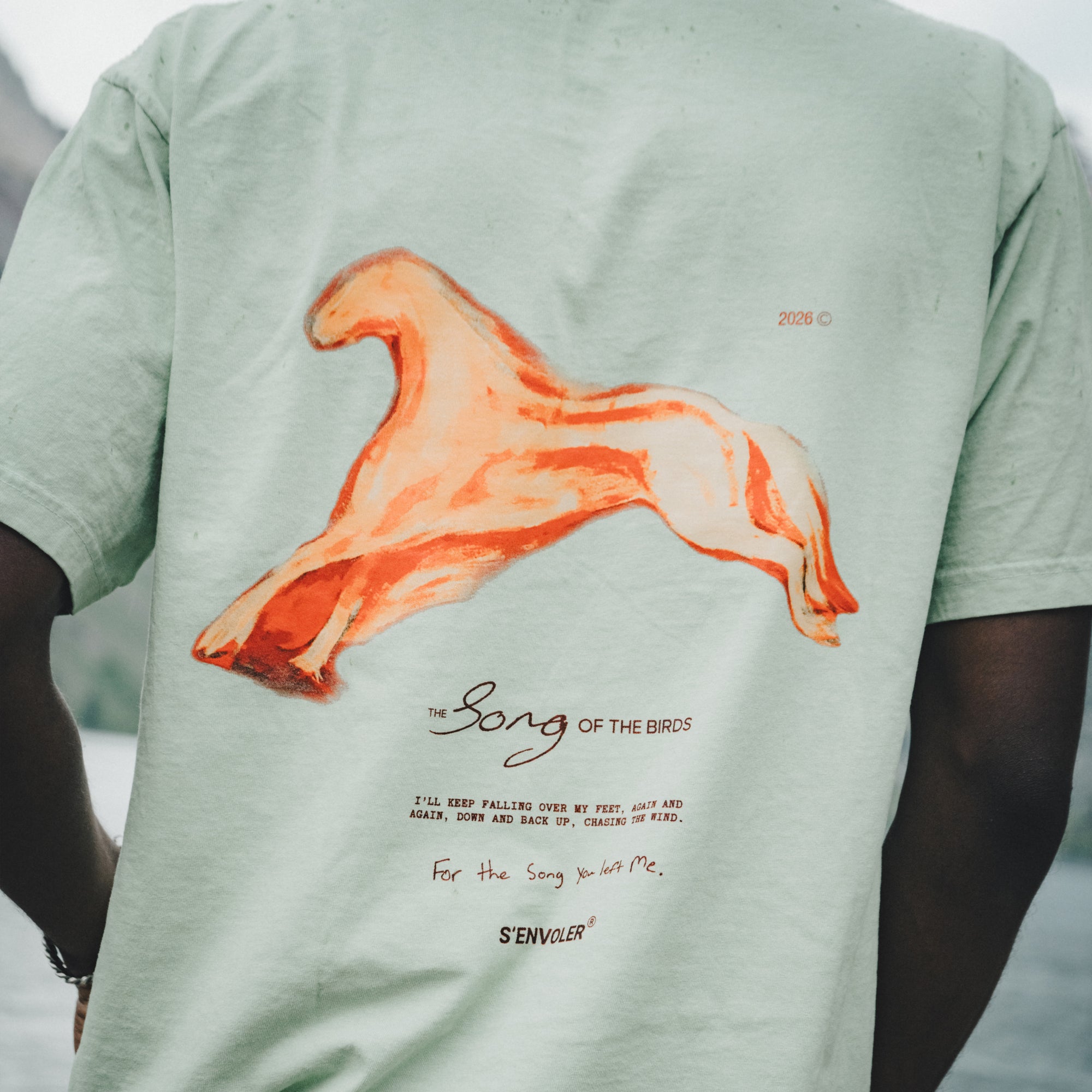 Chasing The Wind Tee