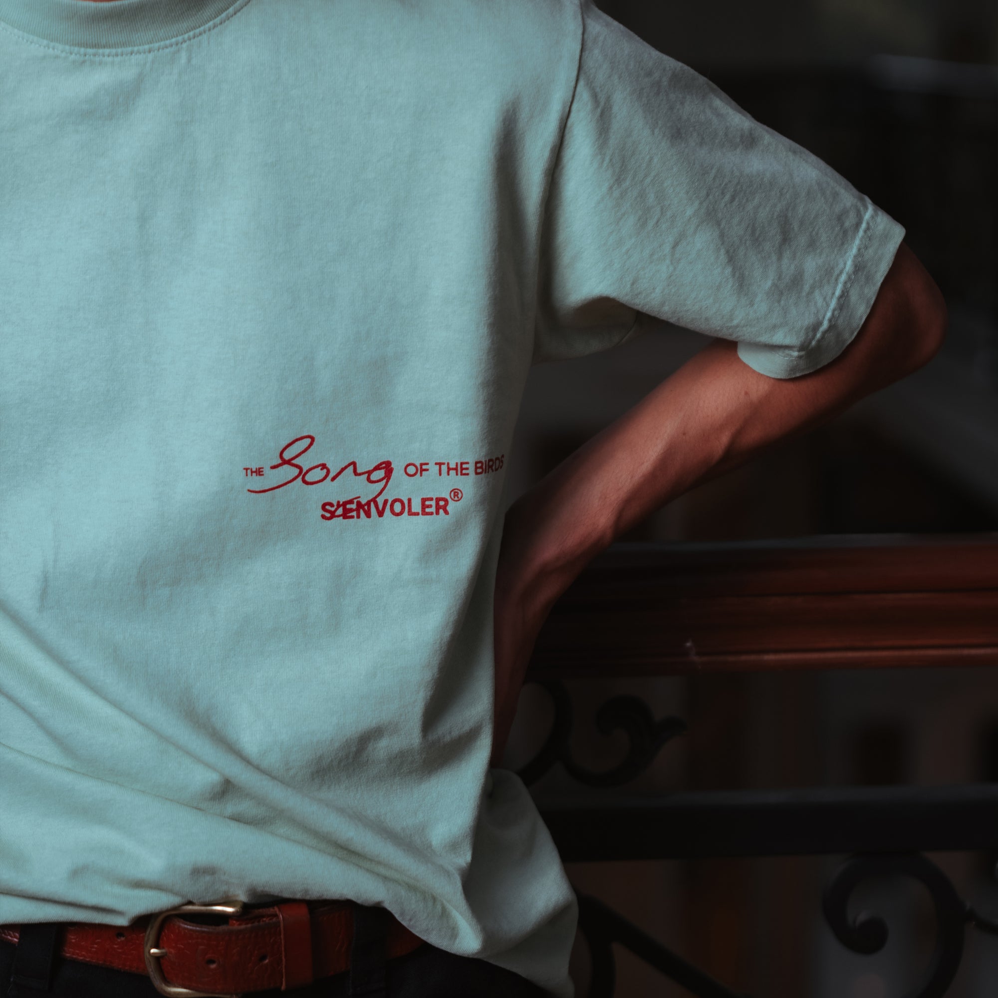 Chasing The Wind Tee