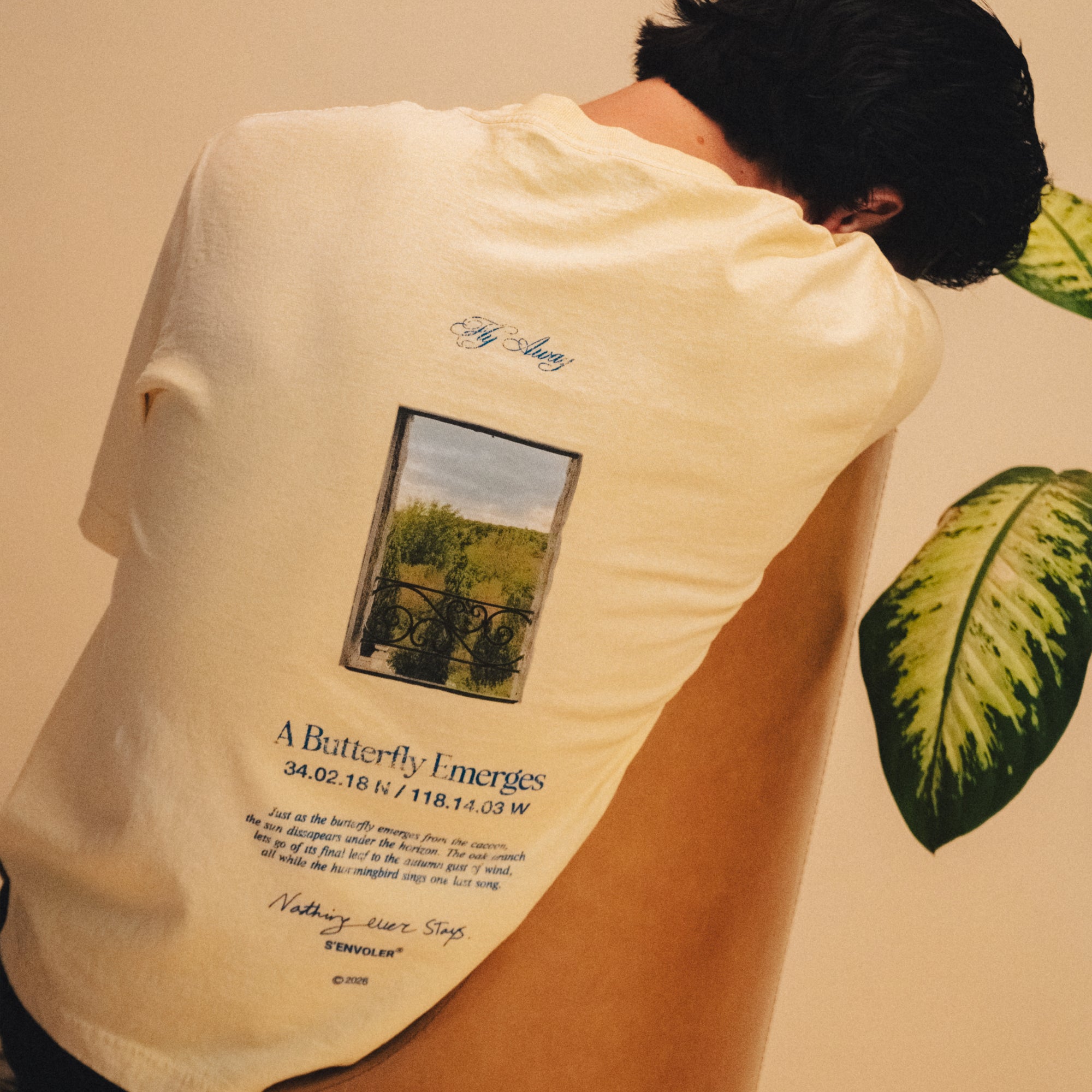 Glimpse Tee